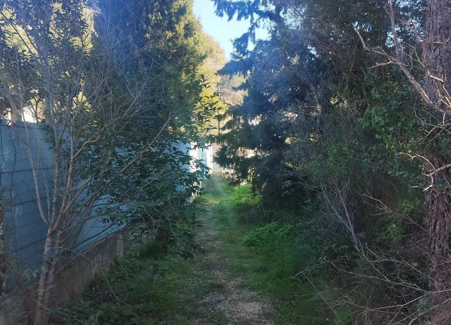Gite Renove Calanque La Vesse Le Rove 別荘